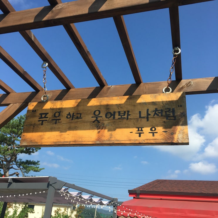  [게스트하우스/류] 평창 봉평 넓은 정원이 있는 맛집:) 푸우의정원
