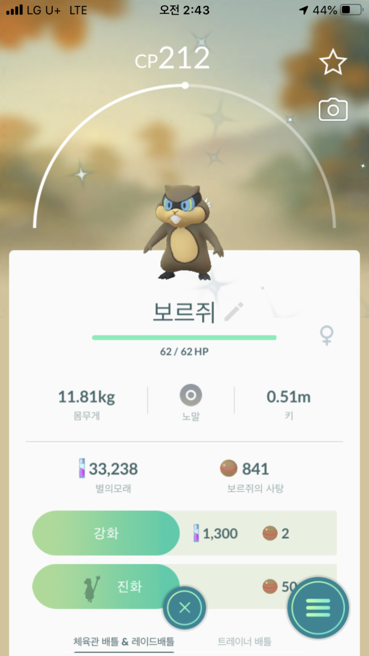  보르쥐, 보르그 이로치