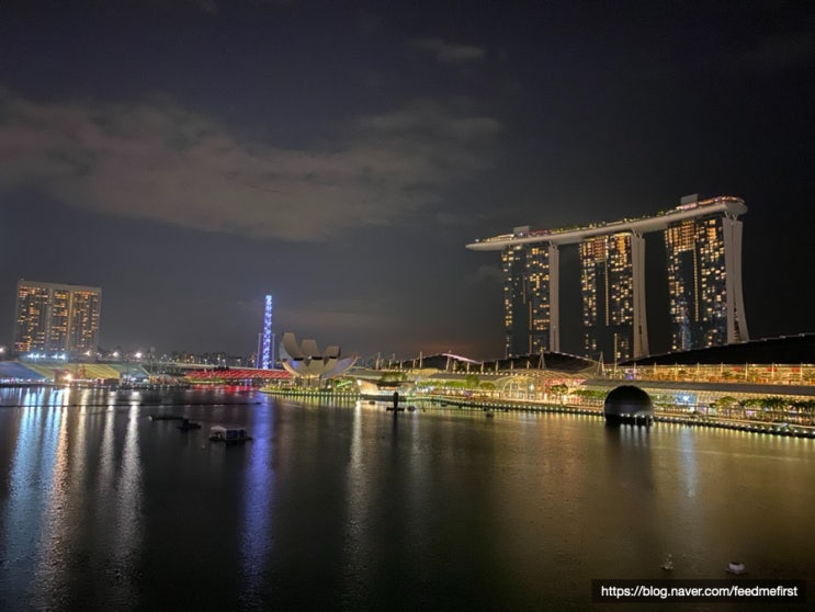  [싱가포르] 코로나 때문에 해외여행을 못 가니 코로나 전 1월 말 여행 추억팔이(Lantern,Cloud Forest, Fullerton Hotel, Hey Tea, MBS)