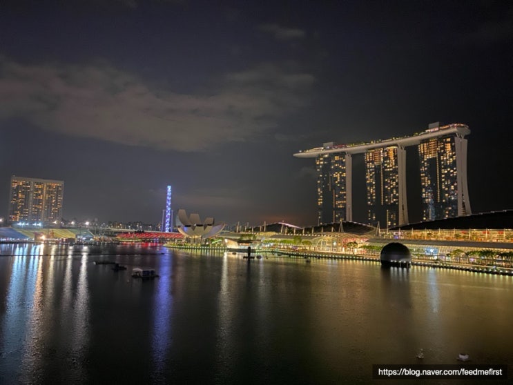 [싱가포르] 코로나 때문에 해외여행을 못 가니 코로나 전 1월 말 여행 추억팔이(Lantern,Cloud Forest, Fullerton Hotel, Hey Tea, MBS)