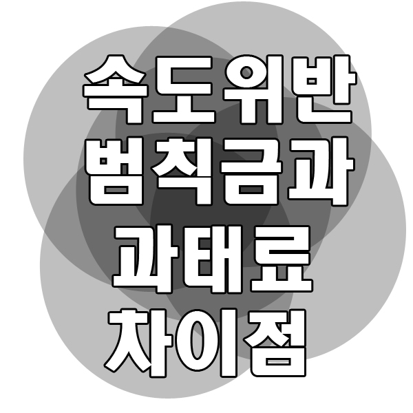  속도위반 과태료와 범칙금. 무슨 차이가있나? (벌점없는 범칙금?)