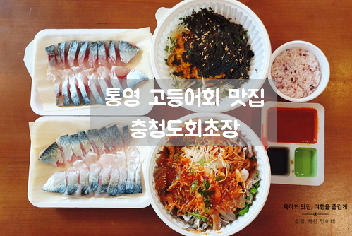  통영 충청도회초장 고등어회 멍게비빔밥 생멸치회까지 푸짐한 한상 포장해서 먹었어요!