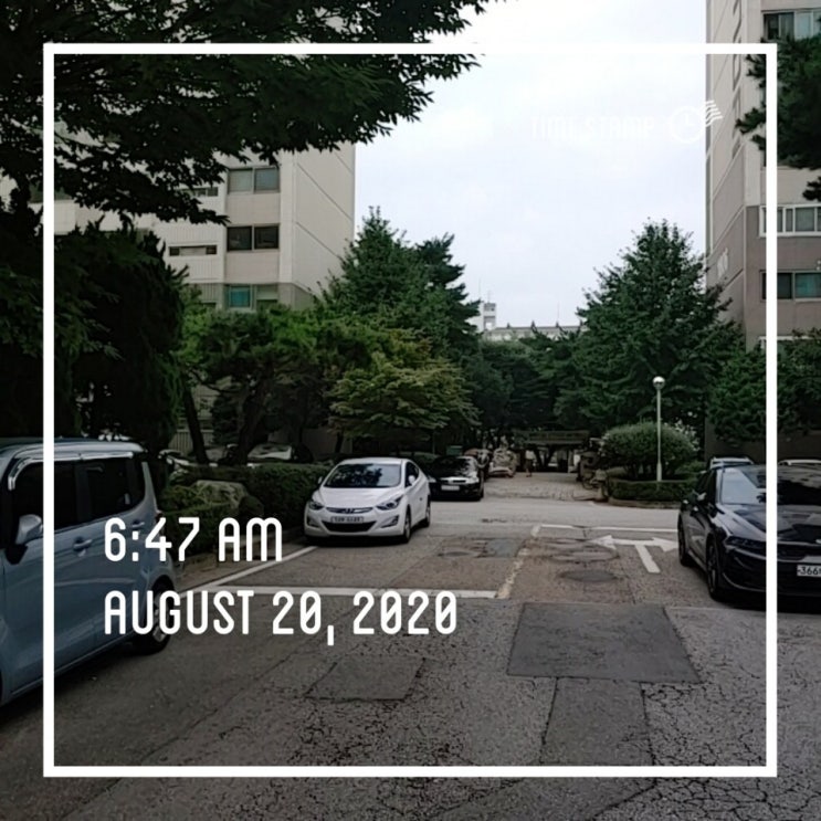  미라클 해빗 5일차