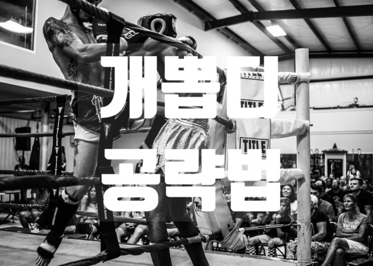  개뽑디 스타유즈맵 개뽑디 다운 공략해보자