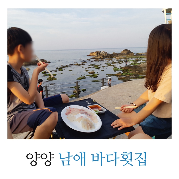 양양 현지인 추천 맛집. 남애항 횟집 자연산 회 포장해서 먹기 좋은 장소 공유