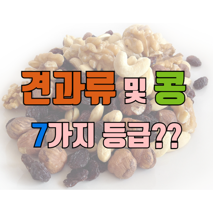  견과류와 콩은 몸에 좋을까?? 견과류와 콩의 7가지 등급으로 알아보자!!(치트키#7)