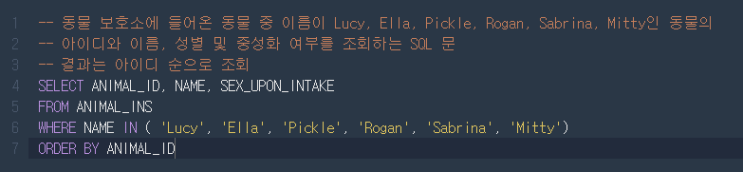 프로그래머스 SQL: 루시와 엘라 찾기 // MySQL // LIKE대신 IN 프로그래머스 SQL: 루시와 엘라 찾기 // MySQL // LIKE대신 IN