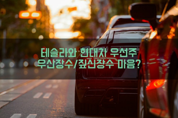  테슬라와 현대차 우선주 - 우산장수/짚신장수 마음?