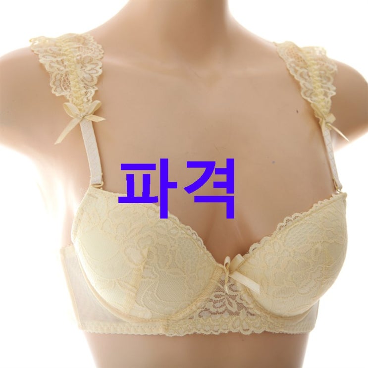 오늘의 핫 글램공감 카멜리아 와이어 브라팬티 3종 세트~ 할인받기