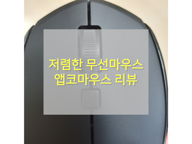  [무선마우스/앱코 WM100 개봉기] : 저렴한 가성비 블루투스 마우스 리뷰(한달 사용 후기)