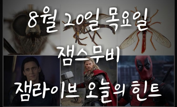  잼라이브 오늘의 힌트(8월 20일 목요일)"데드풀, 토르, 로키"