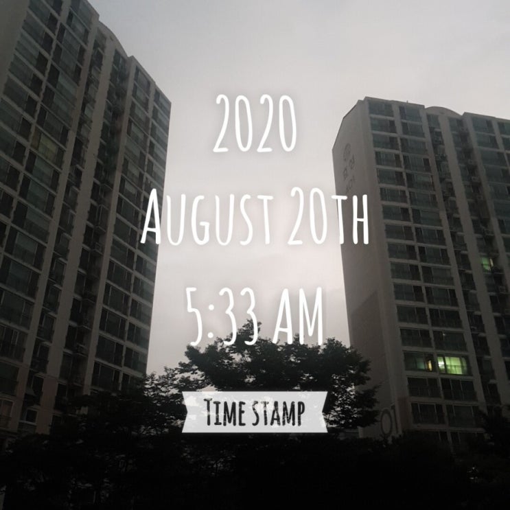 미라클모닝ㅡ모모 0820