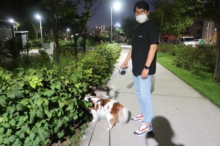 경춘선 방문자센터 밤에 하는 강아지 산책