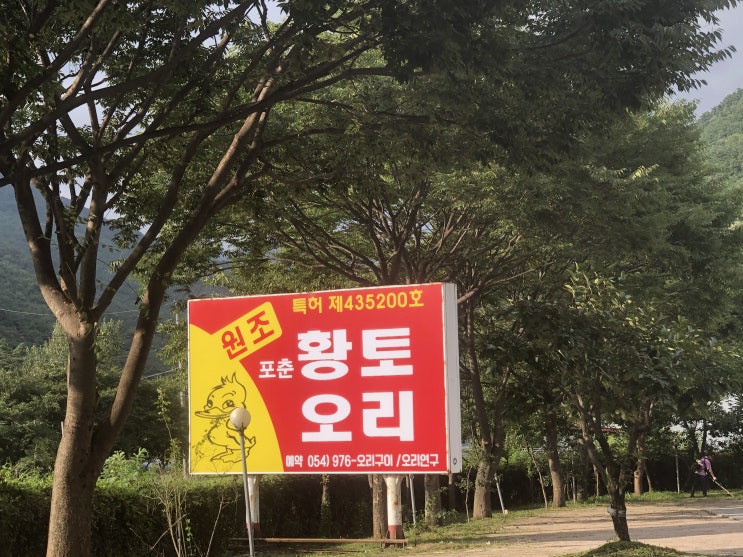  [칠곡/팔공산 맛집]포춘황토오리 가마구이 맛집 메뉴추천, 솔직후기