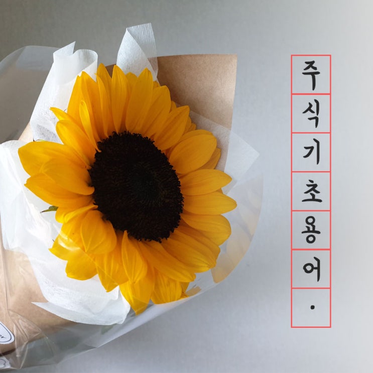  주식기초용어, 주식초보가 알아야 하는 단어모음 !