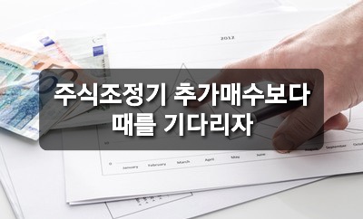 주식조정기 추가매수보다 때를 기다리자