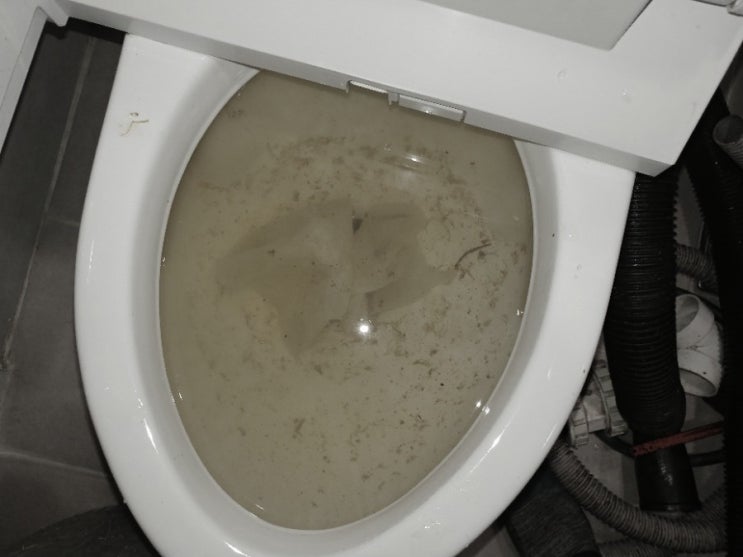  변기 물이 계속 나오고 물탱크로 더러운 물이 역류한다면 변기 막힘일 가능성이 많아요