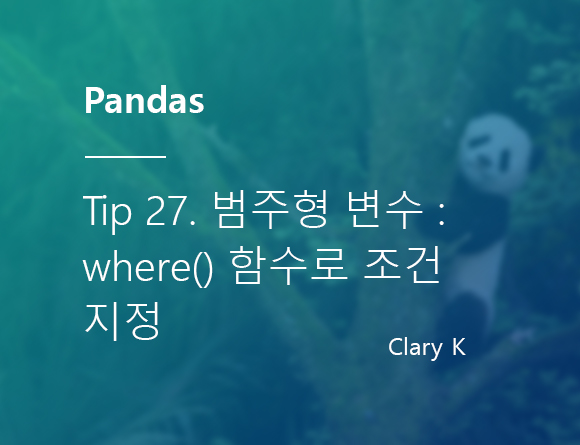 [파이썬] 판다스(pandas) 팁27. 카테고리/범주 변수 다루기 : where() 함수로 조건 지정하기, 데이터 필터링