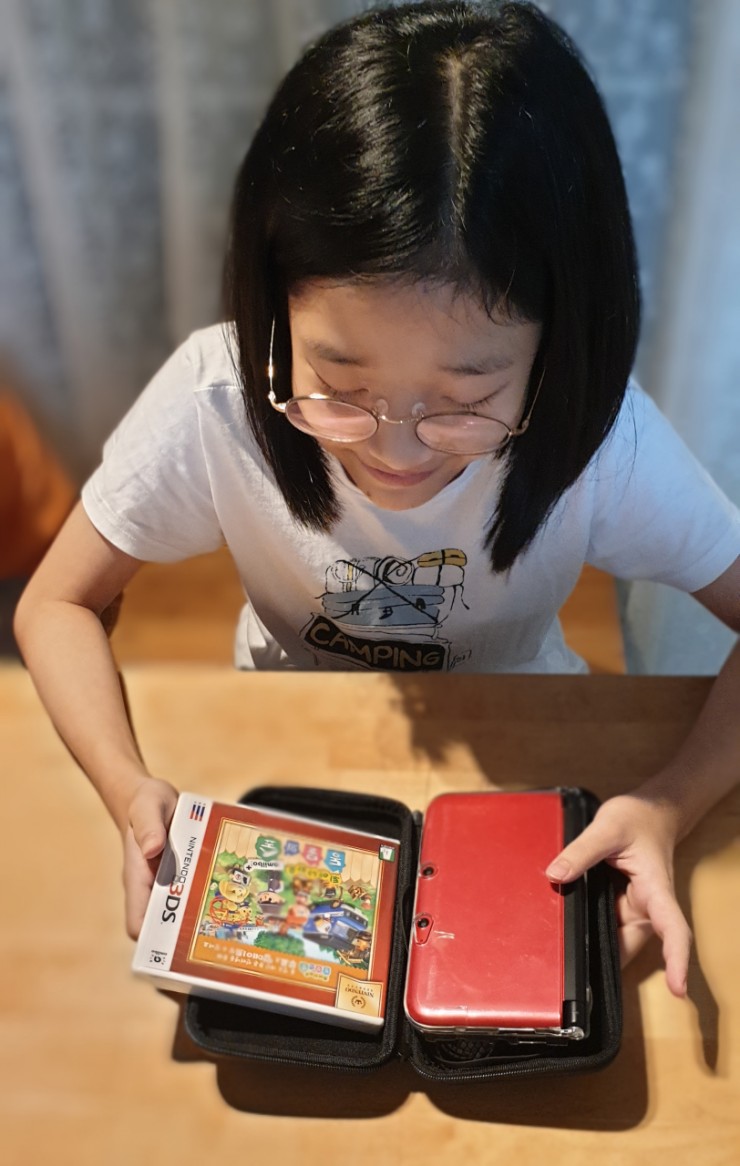 작은 시상식?! 닌텐도 3DS XL, 동물의 숲.