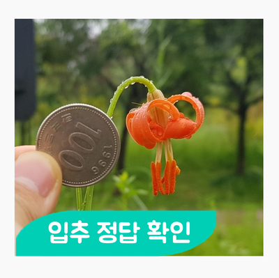  입추(立秋) 알림장 숙제 정답