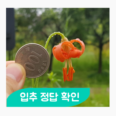 입추(立秋) 알림장 숙제 정답