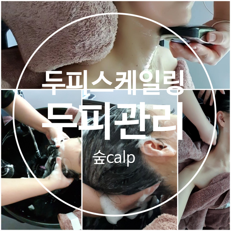  이수역 두피스케일링 두피관리엔 숲calp 머리가려움증 지루성두피염 해결