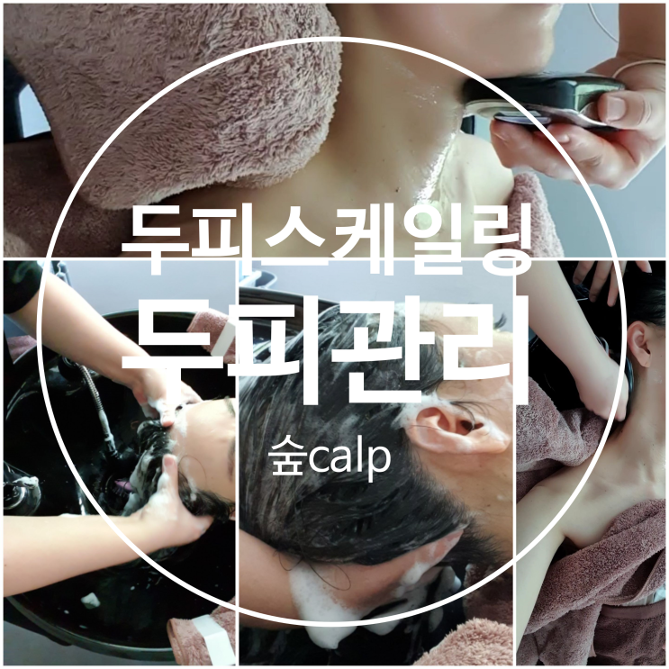 이수역 두피스케일링 두피관리엔 숲calp 머리가려움증 지루성두피염 해결