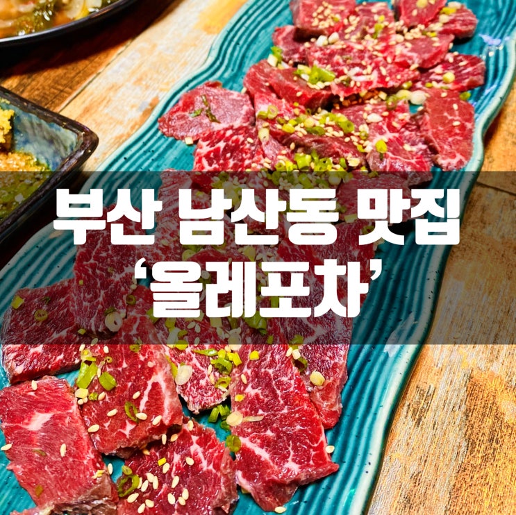 부산 남산동 맛집 올레포차 로컬맛집 (육사시미+물총오징어)