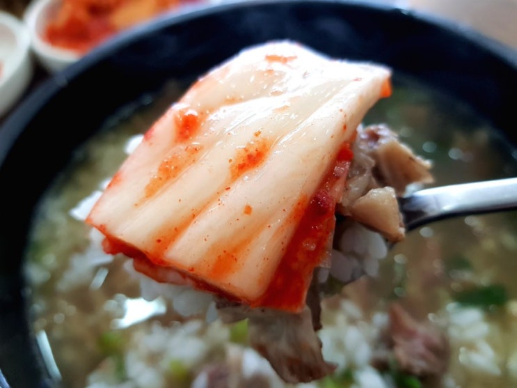  갈비탕 맛집 소문난 왕갈비탕 청주본가 오송 강내점 또 다녀왔어요