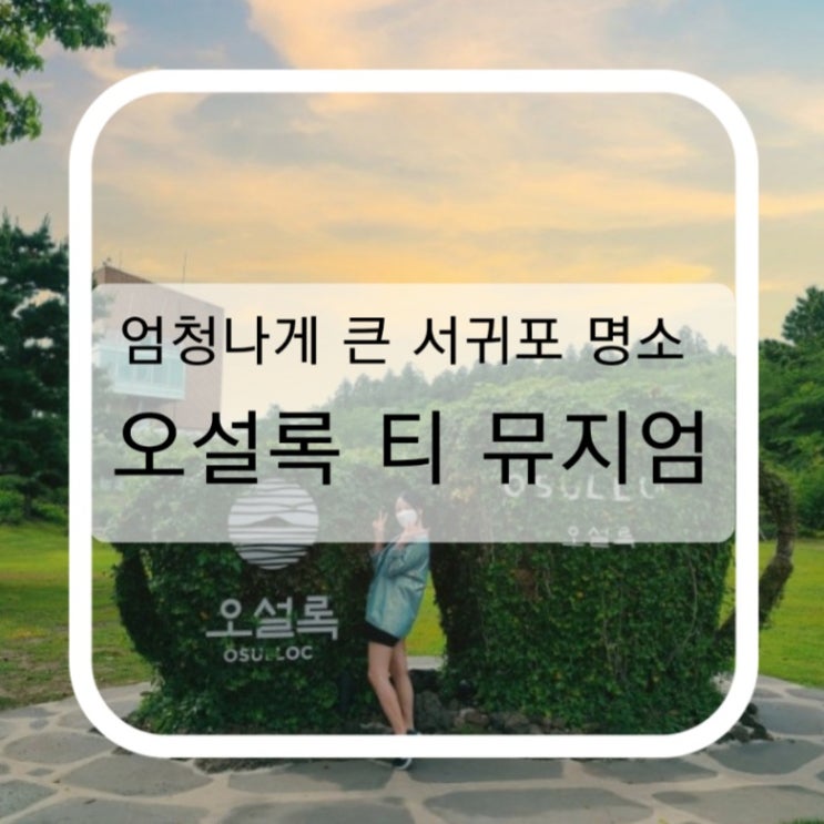  엄청나게 큰 서귀포 명소 오설록 티 뮤지엄 다녀왔어요