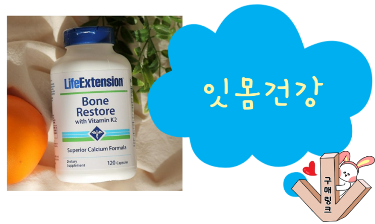  잇몸 건강을 위한 영양제 조합 ~ 고약사 추천 !!
