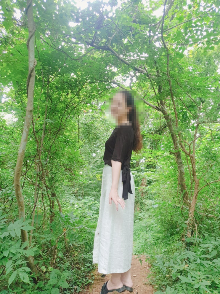 제주도 샤려니숲길(샤려니숲) 솔직한 후기!(리뷰) 제주도 샤려니숲길(샤려니숲) 솔직한 후기!(리뷰)