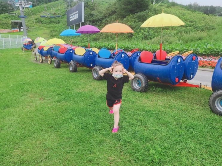  강원도 횡성 웰리힐리파크에서 아이와 함께 깡통열차 드라이브