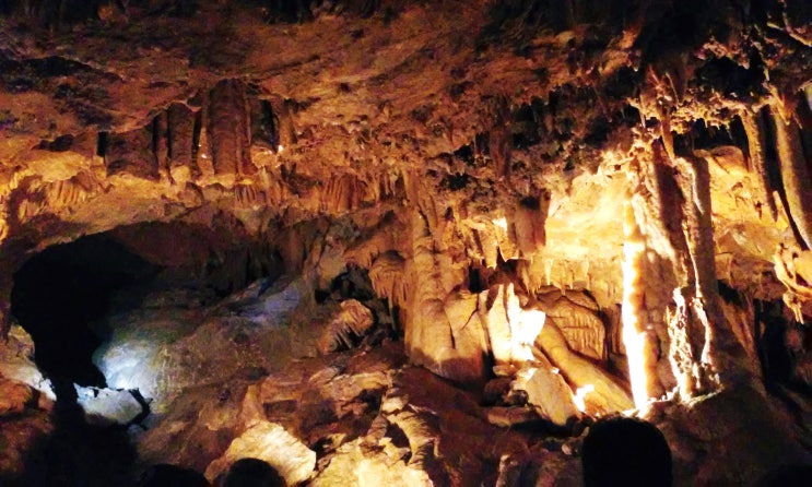  Mt. Shasta 2박 3일-2 | Lake Shasta Caverns National Natural Landmark-호수안 동굴 탐험