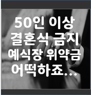  50인 이상 결혼식 금지 예식장 위약금 어떡하죠...