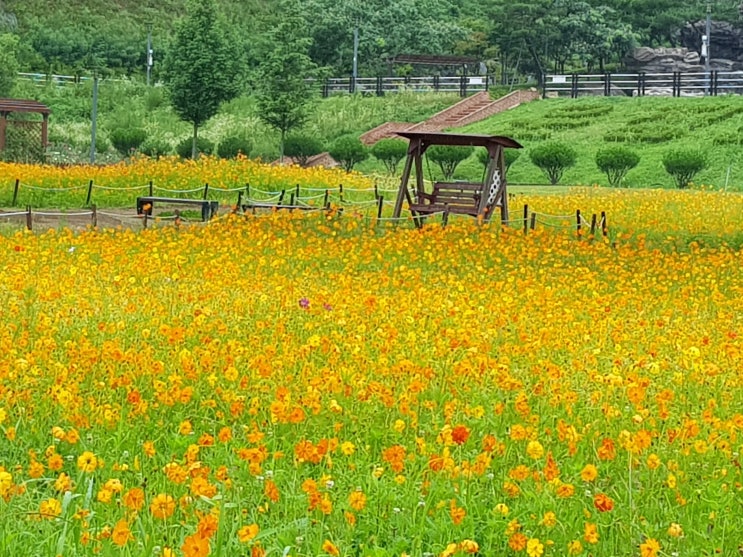  경기도 파주 가볼만한곳, 날마다 걷고 싶은 그곳! 파주 운정호수