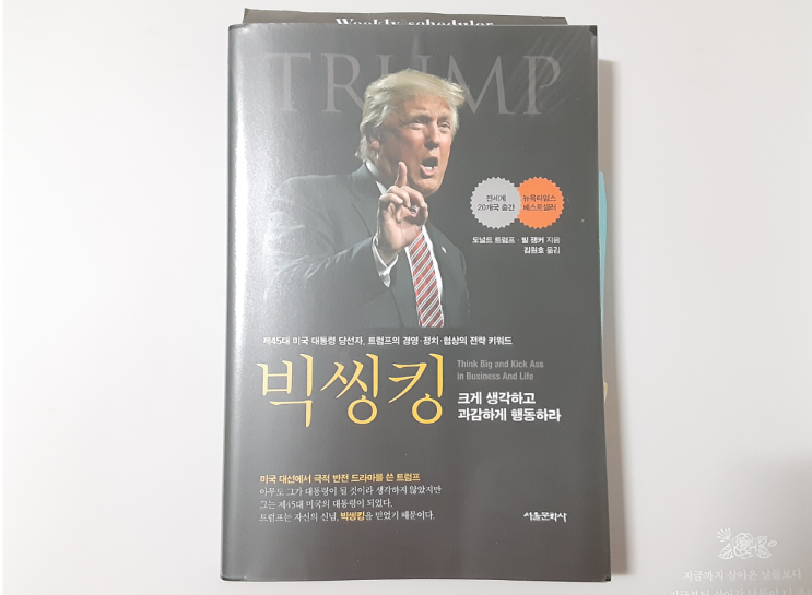 이 책을 읽고 '도널드 트럼프'를 다시 보게 되었다