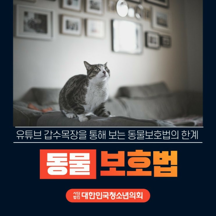 '대한민국청소년의회'로 알아보는 간단한 법 용어 & 사회적 이슈