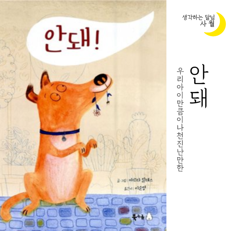  연령별 안돼 훈육법 / 제 이름은 '안돼!'예요 / 안돼 데이빗