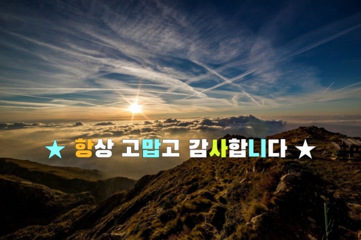 항상 고맙고 감사합니다 항상 고맙고 감사합니다