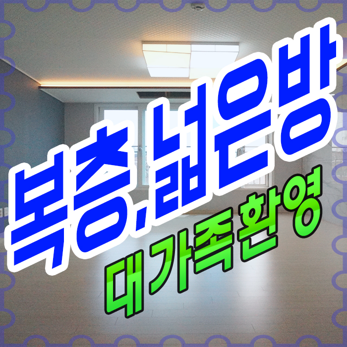  야당동신축빌라 방5개 대가족 안성마춤