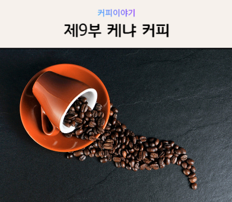  [커피공부] 제9부 케냐 커피의 특징
