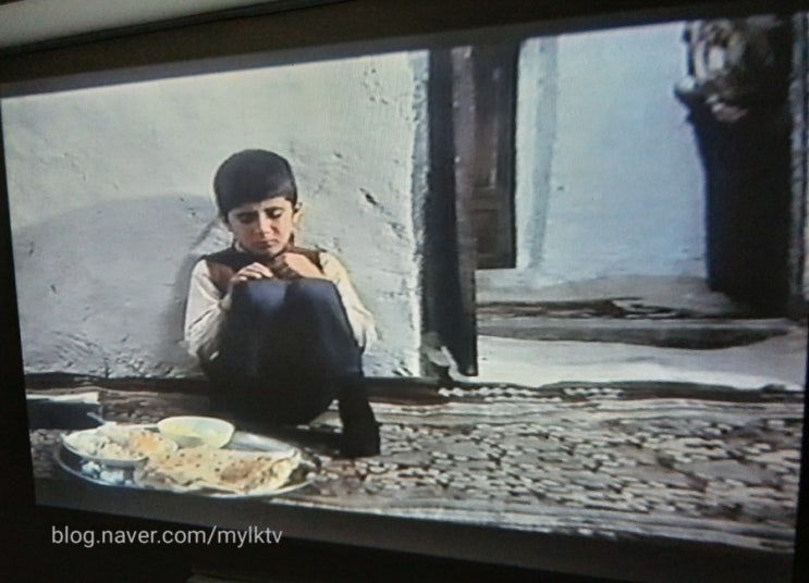 여름방학에 자녀와 함께 볼만한 영화: 이란 영화 내 친구의 집은 어디인가? 줄거리 및 스포 포함