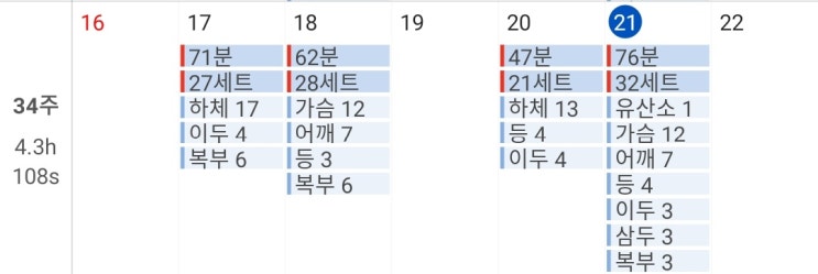  [헬스 11주차 - 45일] 금요일 - 가슴등삼두 : 어제어치만큼 복근 조짐