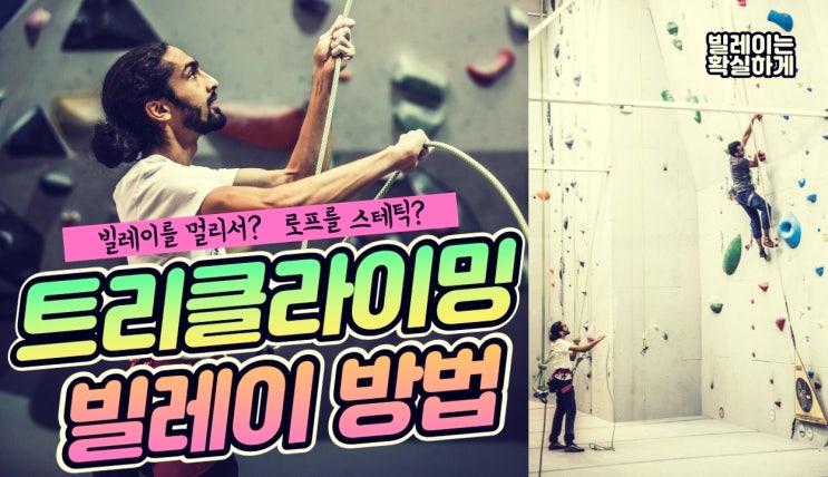  제대로 해야죠! 트리클라이밍 빌레이[belay] 는 기본