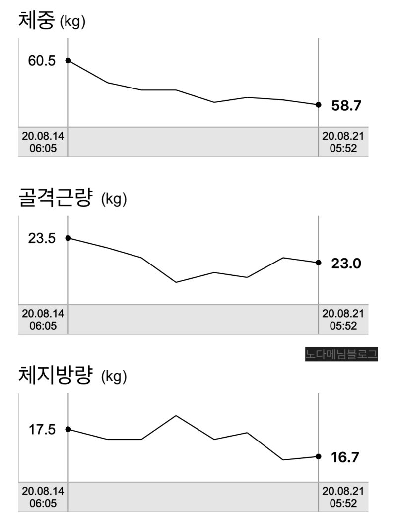 덴마크 다이어트 리뷰 6-7일차 :: 직장인 일주일 다이어트 주말이 고비 (대반전주의) 1