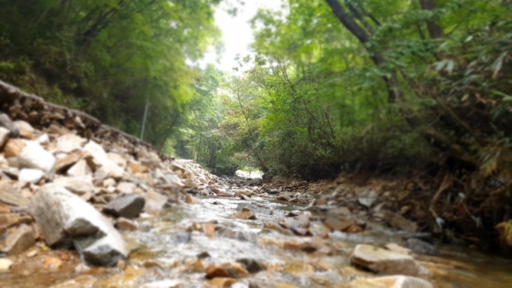  코로나도 피해가는 산간 오지마을[장수-지실가지마을]