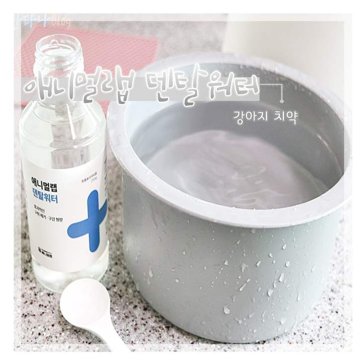  강아지 치약 대신 물에 타먹이는 애니멀랩 덴탈워터