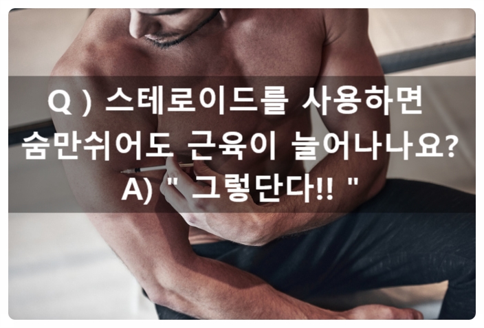  스테로이드사용과 근육량의 관계(보디빌딩)