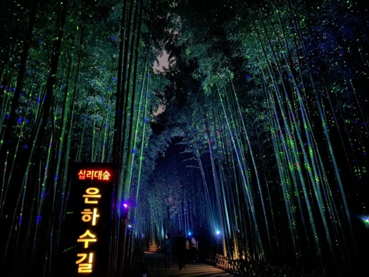  울산 태화강 십리대 은하수길, 태화강 국가정원, 울산 필수코스